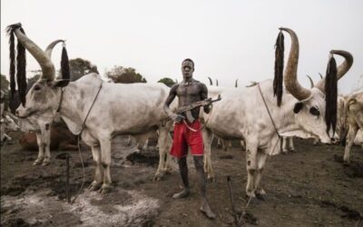 MACBAN Lies on Attacks on Fulanies in Plateau – Frontline Communities of Terrorists’ Attacks